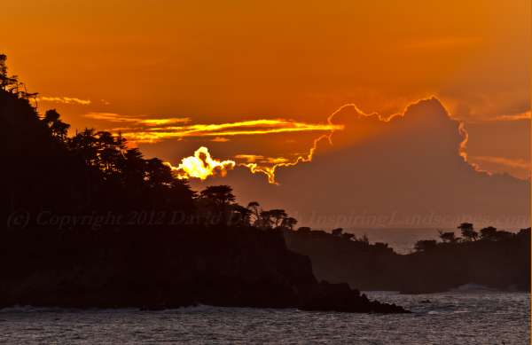 Point Lobos