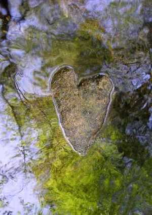 Mother Nature's Valentine